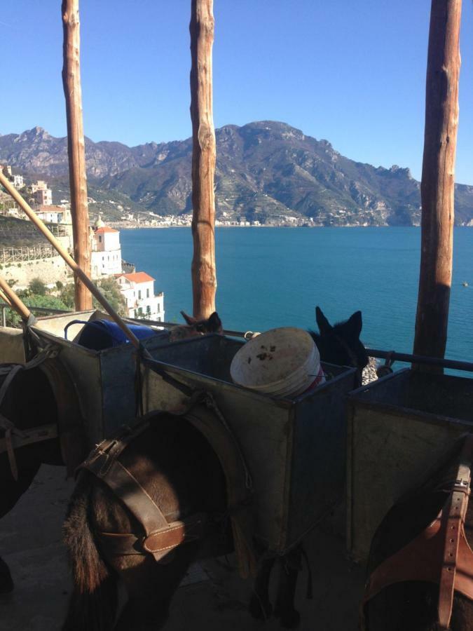 Il Veliero Amalfi